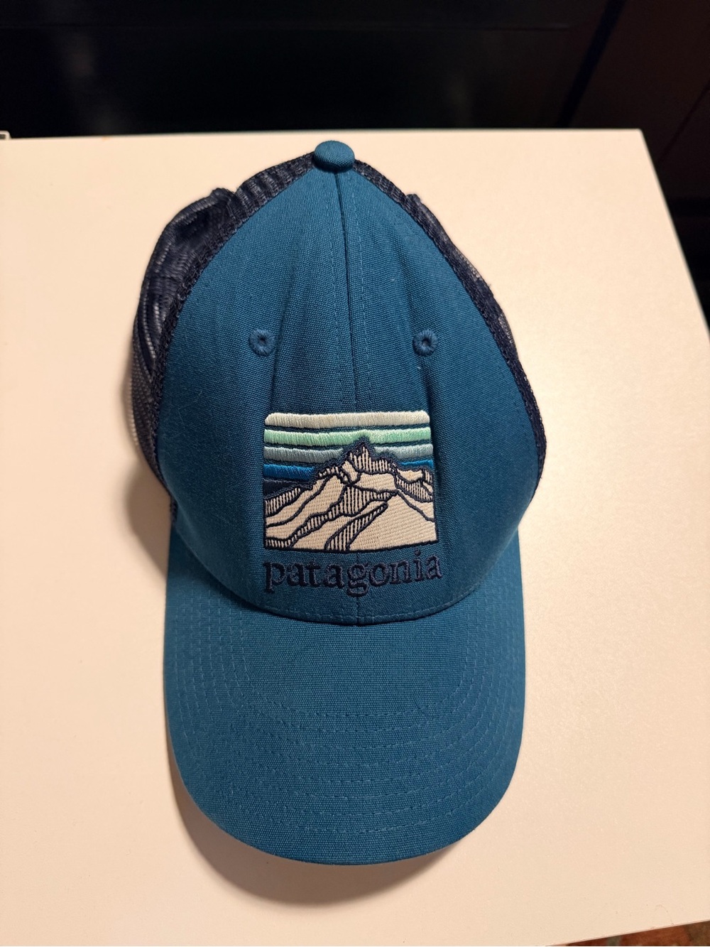 Patagonia Teal and Navy Mountain Patch Trucker Cap Hat